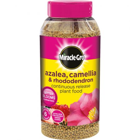 Miracle-Gro Azalea, Camellia & Rhododendron Continuous Release Plant Food 1kg - image 1