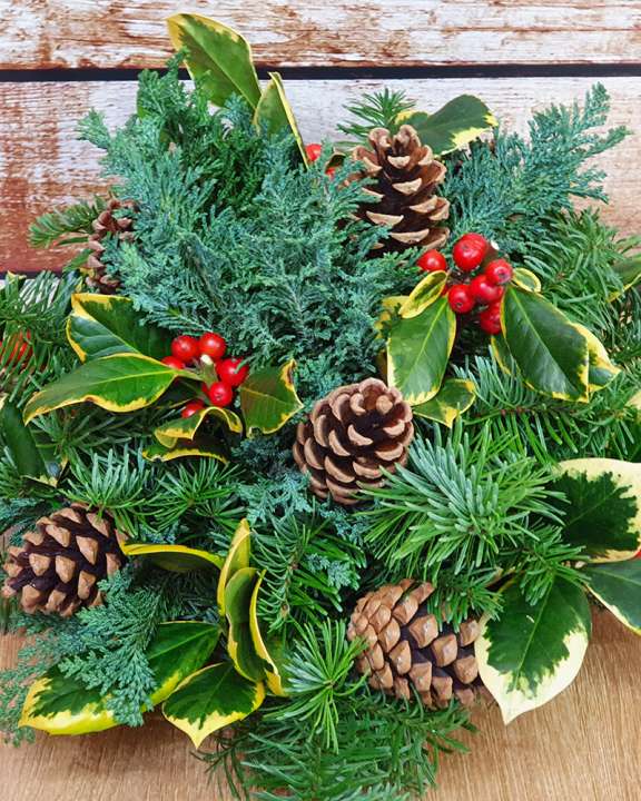 lyonshall nurseries christmas posie natural