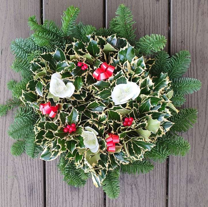 lyonshall nurseries unique gold flash holly wreath
