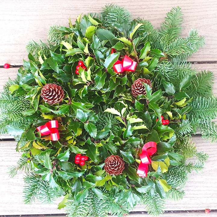 lyonshall nursery classic holly wreath