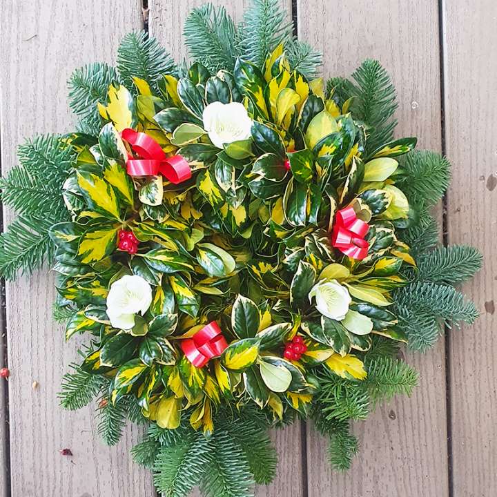 Fresh Holly Wreaths Lyonshall Nurseries and Garden Centre Herefordshire