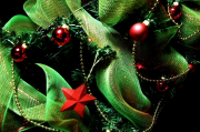 Grow your own Christmas decorations Grow your own Christmas decorations