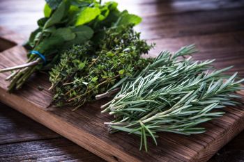 Cut herbs to store for winter