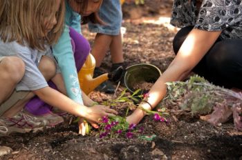 Get the kids into the garden this half term