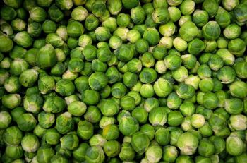 Give winter veg a little TLC