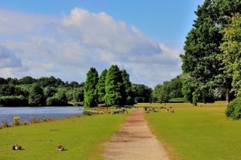 Lost treasures have been exposed as a result of last heatwave