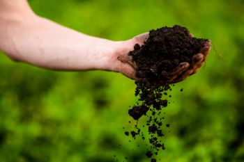 Making compost