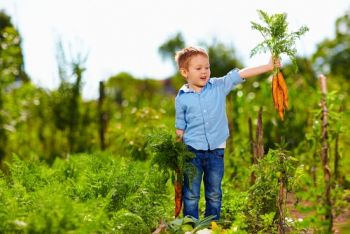 National Allotment Week 2018