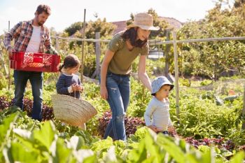 National Gardening Week