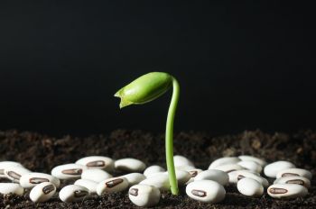 Invest in a heated propagator