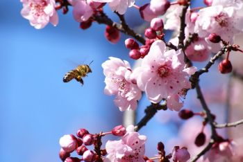 Happy National Gardening Week