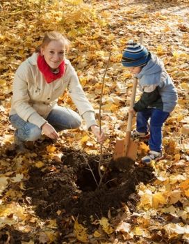 It's National Tree Week