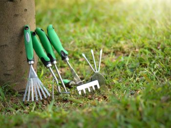Give your tools some TLC