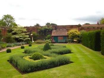 Give hedges a last trim