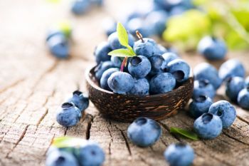 Plant blueberries in containers