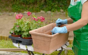 Plant pots for pollinators