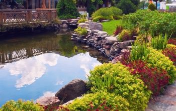 Summer pond care