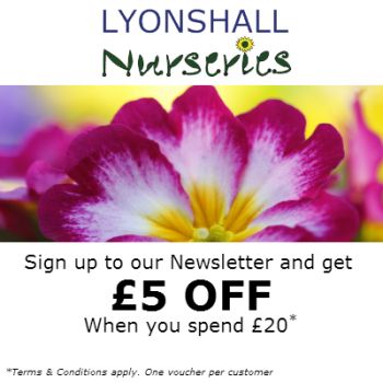 The Lyonshall newsletter is coming soon!