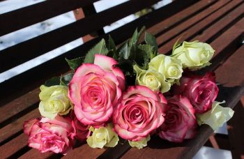 The number of plants blooming on Valentine’s Day this year shot up