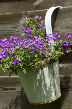 Use your walls to the max with vertical gardening