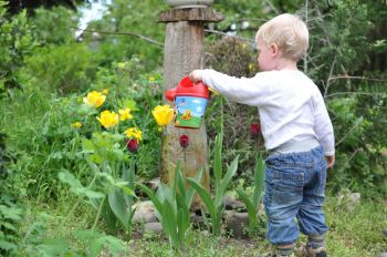 What to do in the garden in May: