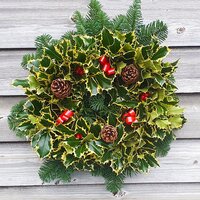 Fresh Holly Wreaths