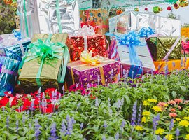 GIFTS FOR GARDENERS