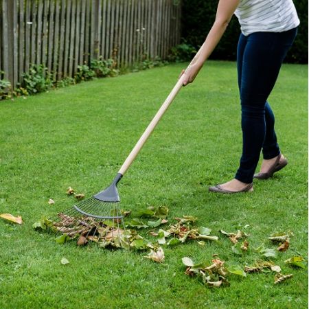 Carbon Steel Lawn & Leaf Rake