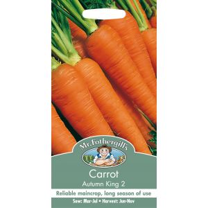 CARROT Autumn King 2 - image 2
