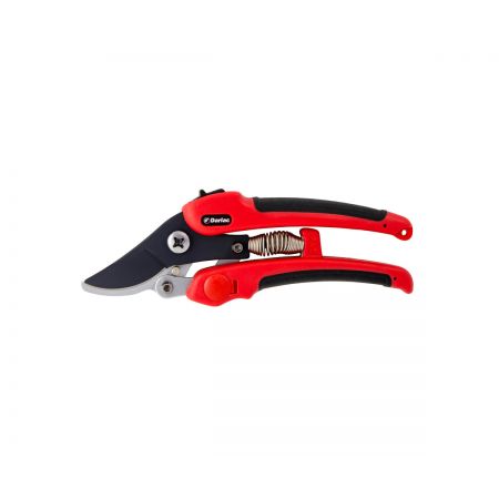 Compound Action Pruner