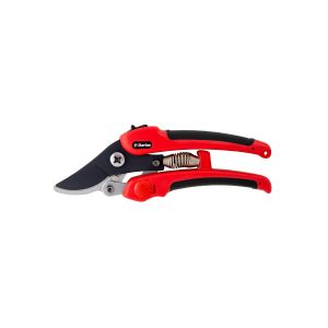 Compound Action Pruner