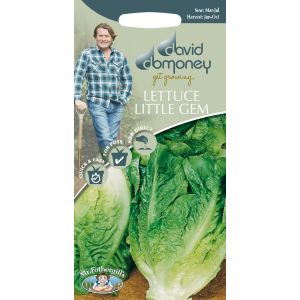 DD LETTUCE Little Gem - image 2