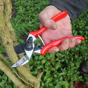 Expert Anvil Pruner - image 2