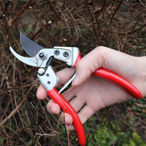 Expert Bypass Pruner Medium - image 2