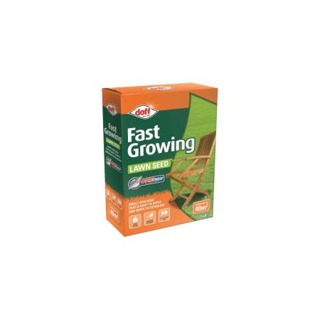 Fast Grass Seed 1kg - image 1