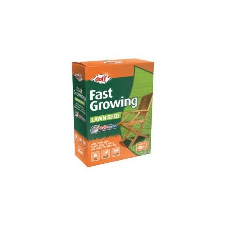 Fast Grass Seed 1kg - image 2