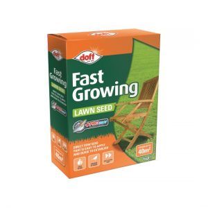 Fast Grass Seed 1kg - image 2