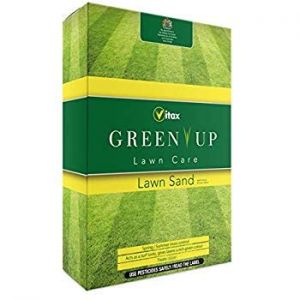 Green Up Lawn Sand 4kg - image 2