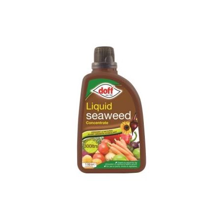 Liquid Seaweed 1ltr