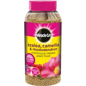 Miracle-Gro Azalea, Camellia & Rhododendron Continuous Release Plant Food 1kg - image 4