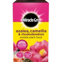 Miracle-Gro Azalea, Camellia & Rhododendron Soluble Plant Food 500g - image 1