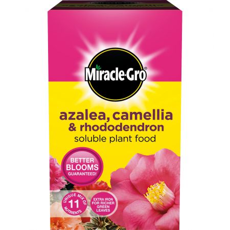 Miracle-Gro Azalea, Camellia & Rhododendron Soluble Plant Food 500g - image 2