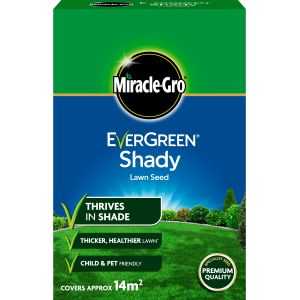 Miracle-Gro EverGreen Shady Lawn Seed 420g - image 4