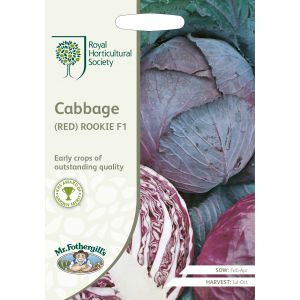 RHSV CABBAGE (Red) Rookie F1 - image 2