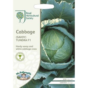 RHSV CABBAGE (Savoy) Tundra F1 - image 2