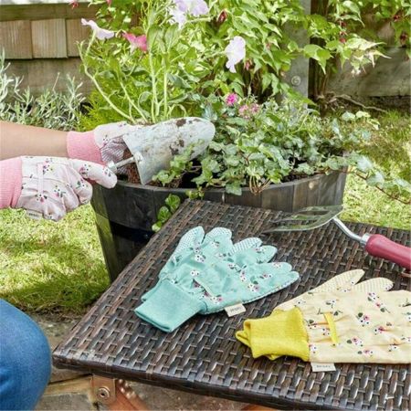 Rigid Seed Tray - image 2