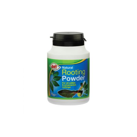 Rooting Powder 75g - image 1