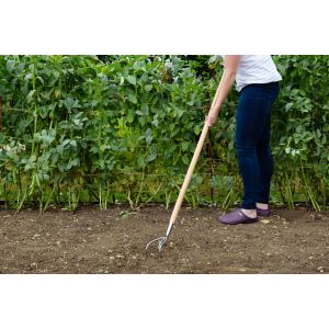 Stainless Steel Long Handled 3 Prong Cultivator