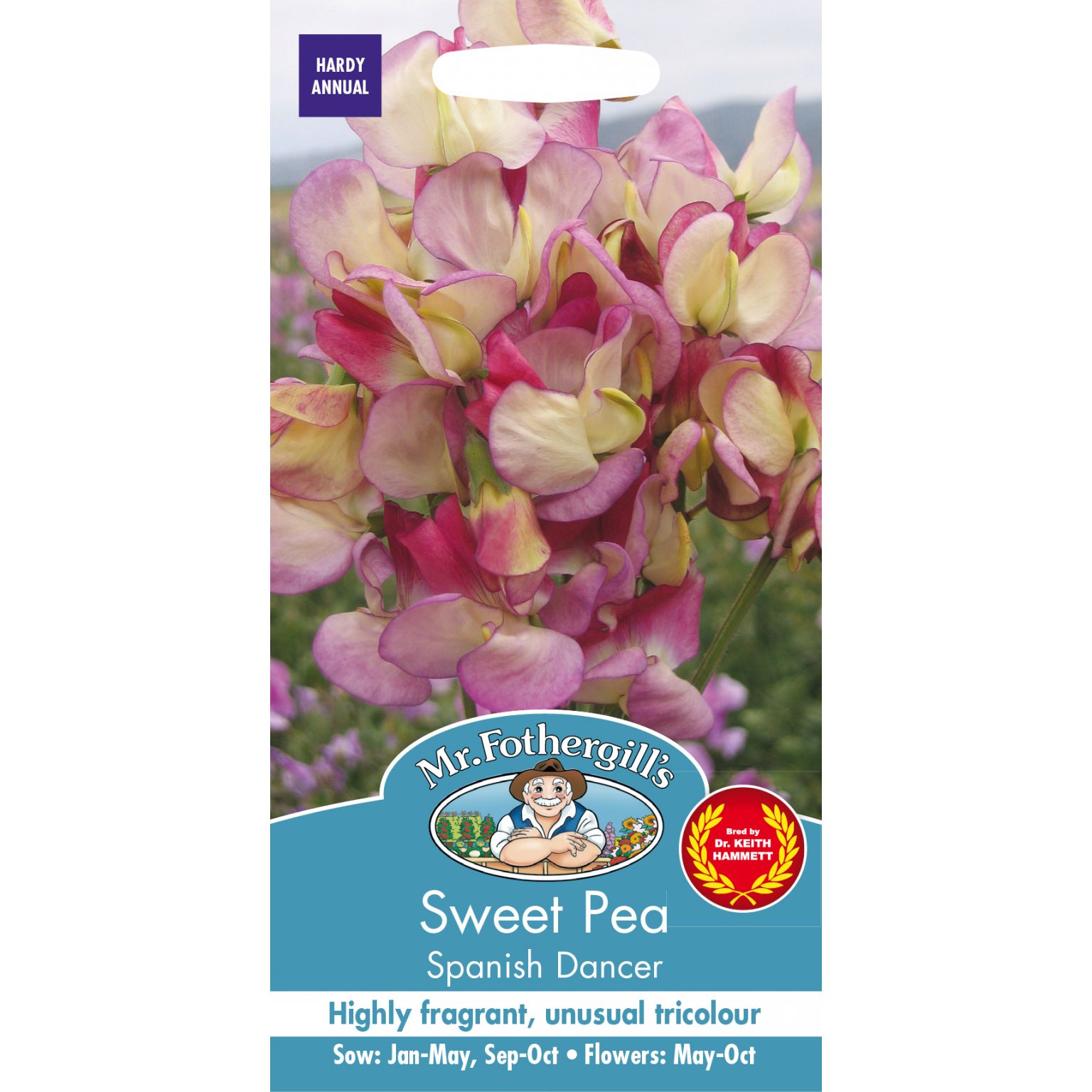 SWEET PEA Spanish Dancer Lyonshall Nurseries and Garden Centre