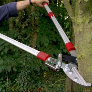 Telescopic Ratchet Lopper - image 2